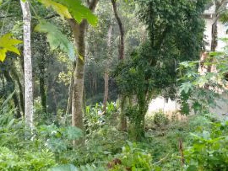 Terreno para Venda - Cód. 850