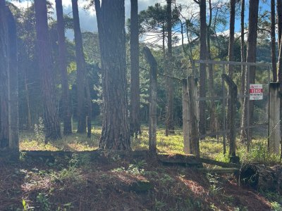 Terreno para Venda - Cód. 12505