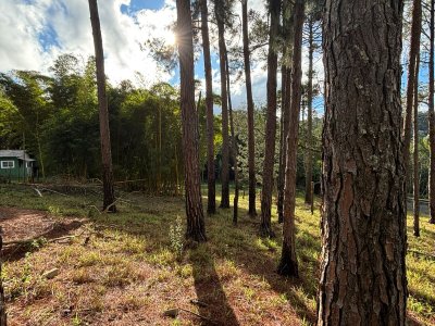 Terreno para Venda - Cód. 12505 — foto 2 — Mombaça, Itapecerica da Serra