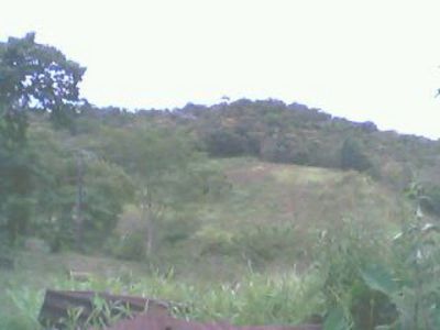 Compensação de Área para Venda - Cód. 539